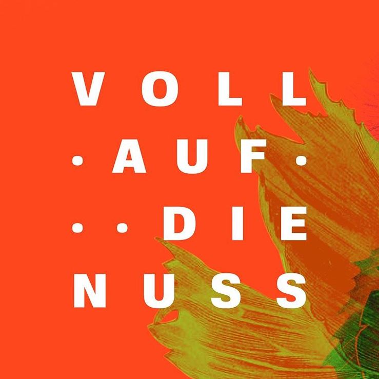 Voll auf die Nuss-Haselnusslikoer aus Mainz online bestellen-Logo